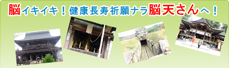 健康長寿ナラ奈良の旅